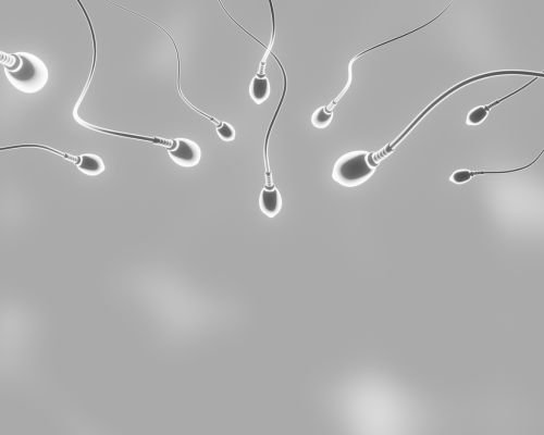 Low Sperm Count