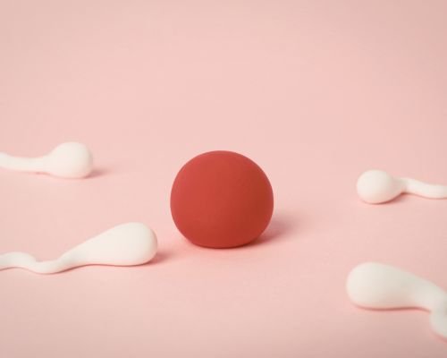 Male Fertility Challenges